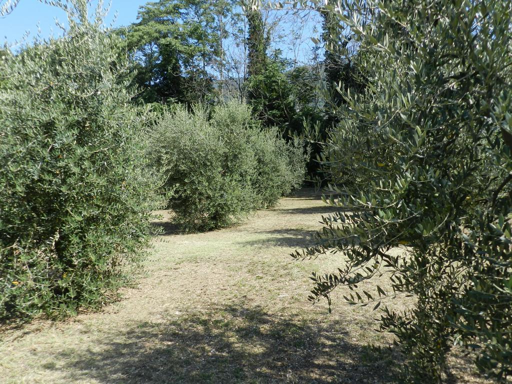 B&B Villa Maria Terni Room photo